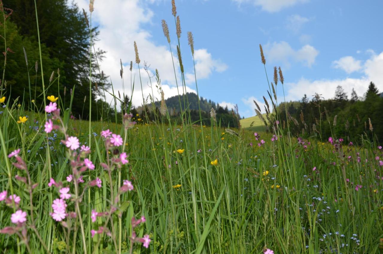 Heustubn Ferienwohnungen Unken Exteriér fotografie